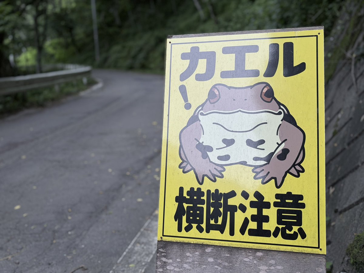 【再取引分】カエル様ご対応ページ Post by てん on X: 🏕️