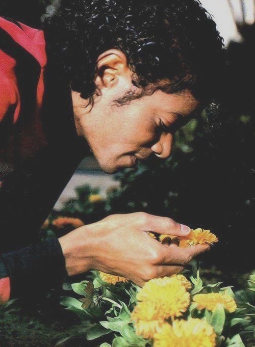 filmsbratz's tweet photo. — it’s been 17 years without him &amp; this death forever has my heart torn into pieces. his legacy is stronger than ever. he truly became immortal through his music. always in my heart. we love you angelface. r.i.p. ৻ꪆ

michael joseph jackson
(aug 29th, 1958 — ♾️) 👑✨🌹🕊️ https://t.co/2so8o03wc7