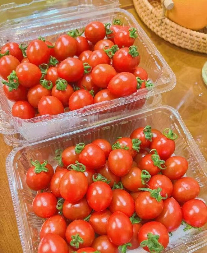 RBjWoKbIMCatQnj's tweet photo. Fresh cherry tomatoes —sweet, juicy, no weird aftertaste! Perfect for salads or snacking. 10/10 would grab again! #GroceryFind #FoodReview https://t.co/pULMIGG7Aa