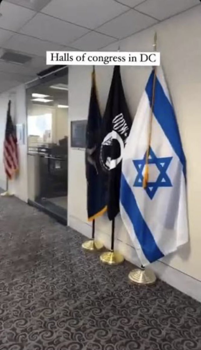 M_O_Clock's tweet photo. @bennyjohnson she wants to make sure to reflect her Muslim faith “in the halls of power”.

Oh like this? https://t.co/ub7KBk8iY4