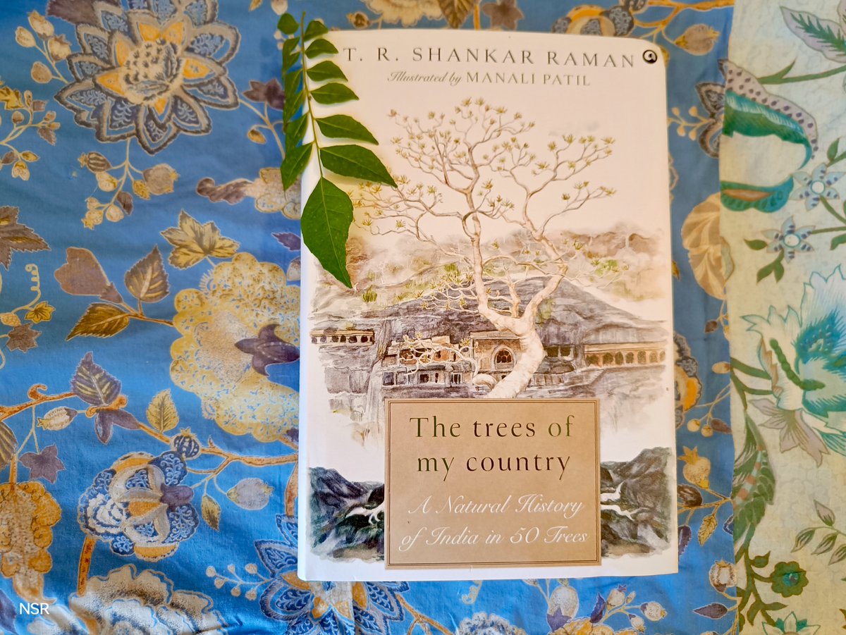 nilanjanaroy's tweet photo. What a beautiful way to write an "India book". 

TR Shankar Raman's The trees of my country: A Natural History of India in 50 Trees, illustrated by Manali Patel, takes you from the spectacular showboats to the unobtrusive, hardy survivors. 

🦚🌴🌲🌳

"Every tree is a storyteller, a historian, a chronicler of place. In their rootedness to particular places, in their long-lived and silent attention to the changes around them, and in their tendrils of connection to other lifeforms, trees embody a perspective both unique and invaluable for us to understand the world. By paying attention to trees, you can begin to hear the stories they tell, the histories they document, the places they describe... 

...this book essays to perceive trees, in India and beyond, as fully-formed beings, as subjects with rich lives of their own."

🦚🌴🌲🌳