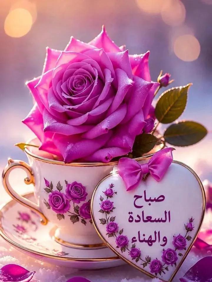 f8lgrq's tweet photo. @noor_ota_ https://t.co/uJzrGX1tJJ