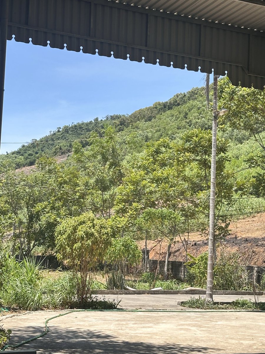 ThuHa090326's tweet photo. Oh, this weather must not be able to live🥵🥵🥵🥵🥵 https://t.co/ZBhnksNXgF