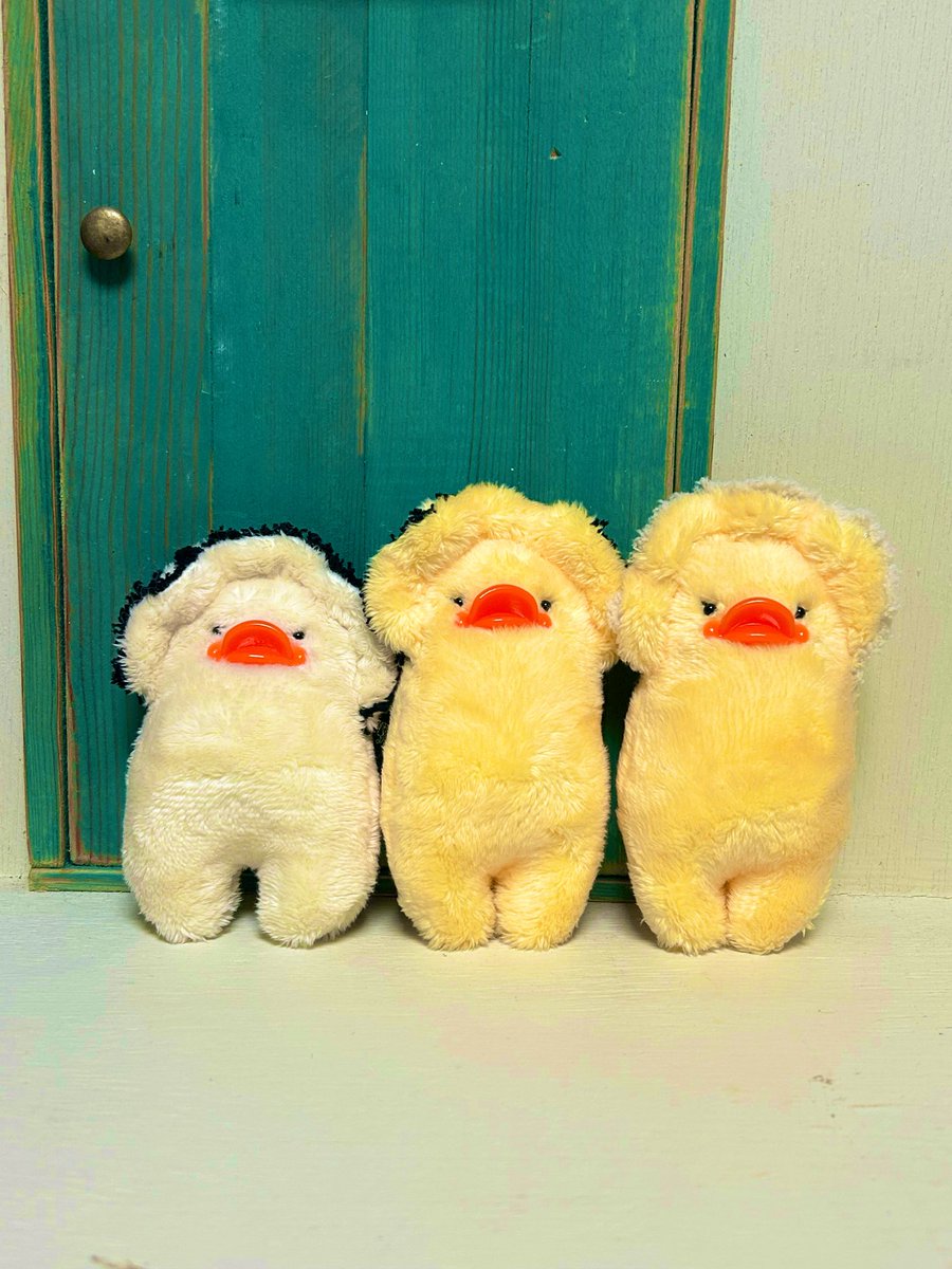 buricheeky's tweet photo. なぜか同じ型紙で作ったのにスリム体型の高身長ヒヨコできてしまって…
アネピヨさん２匹だけ東京並びます。 https://t.co/xIB1zCUbXA