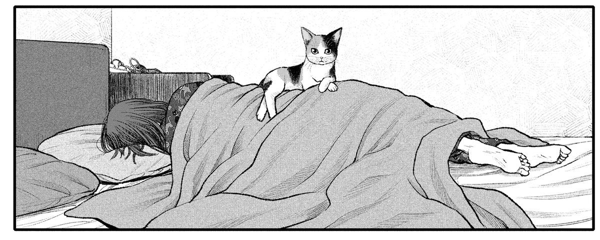 本筋はかなり緊迫してきてますが、ネコさんの支配下にあるこの女性は…!?
『化けの皮のヒトバケ』、ビッグコミック13号にて。 