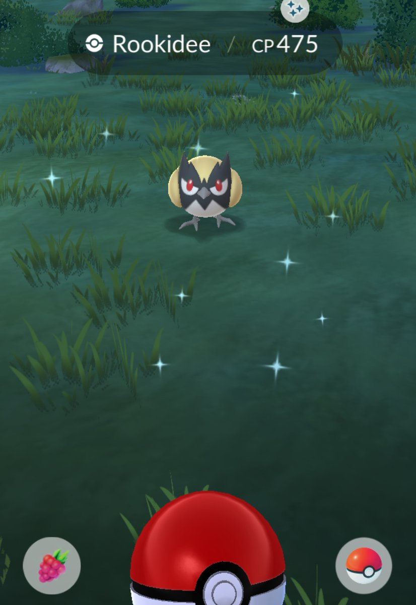 MissPokemonGo's tweet photo. #shinypokemon #pokemongo good evening https://t.co/1JwauSHmX7