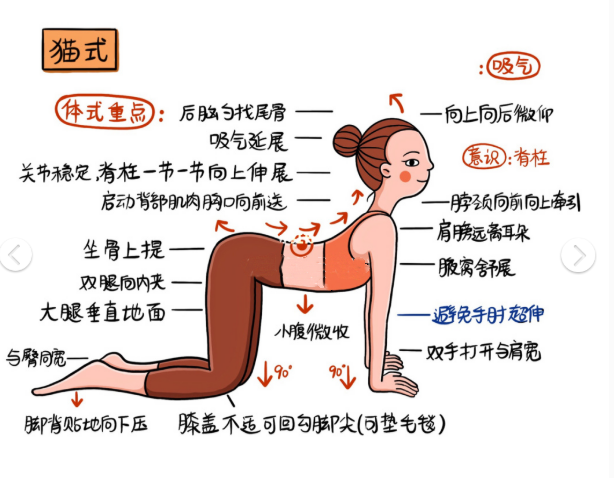 Dvyvid96's tweet photo. [Prioritize 10 mins of daily stretching! It boosts flexibility, eases muscle tension, and keeps your energy steady all day. Your body will thank you. #HealthTip #DailyWellness] https://t.co/KubovBuFzc