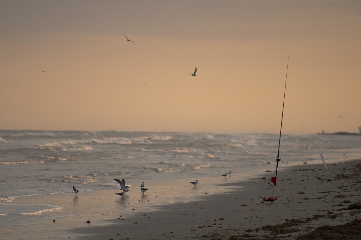 chganyk's tweet photo. galveston, texas. the water smells like sewage and urine https://t.co/FbTucsxjlo