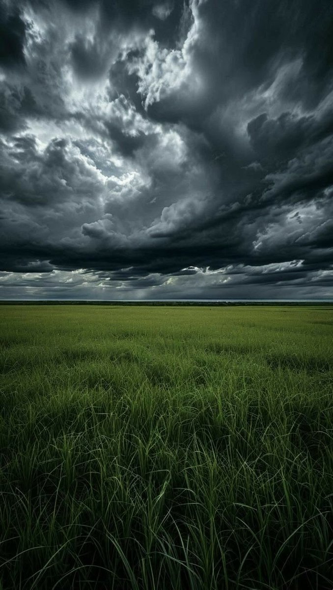 spooky_nature's tweet photo. the best weather in the world https://t.co/dRiGVZOorl