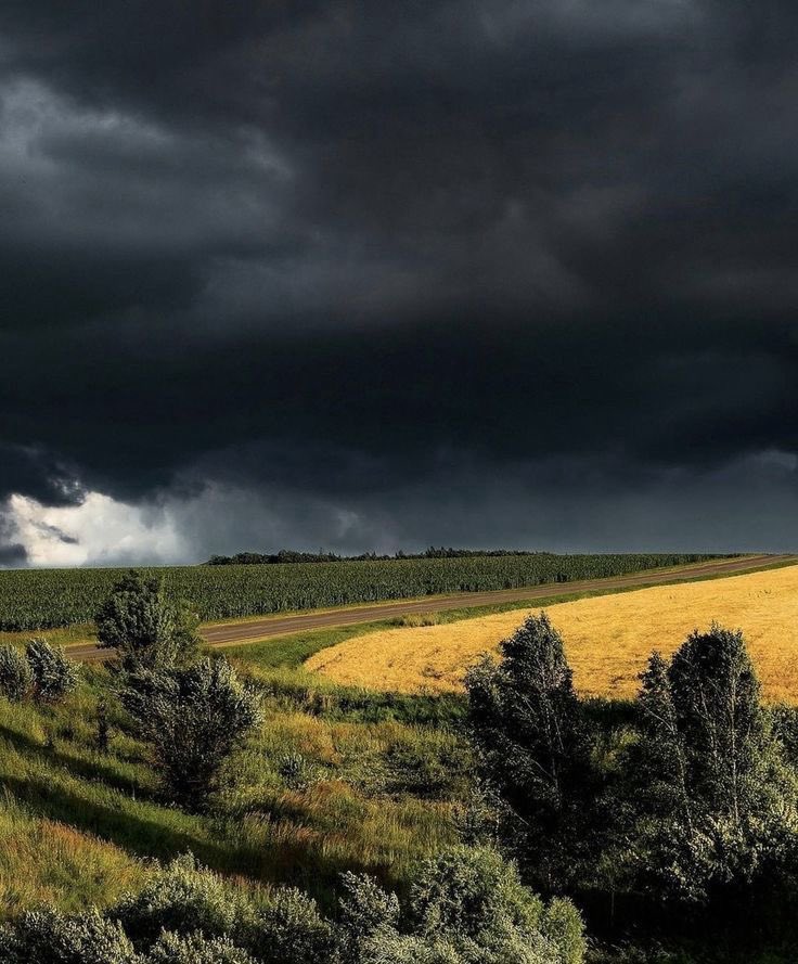 spooky_nature's tweet photo. the best weather in the world https://t.co/dRiGVZOorl