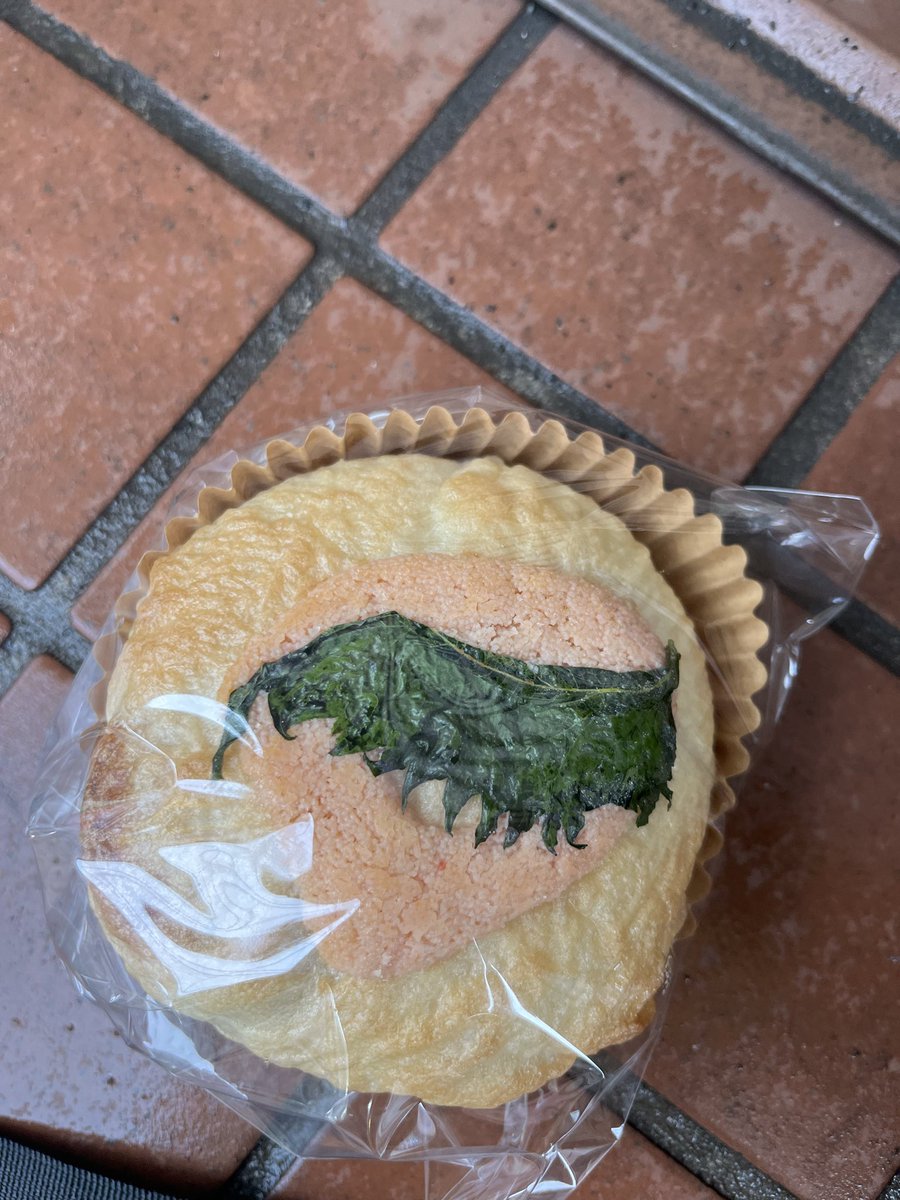 tetsu0803157017's tweet photo. Sales in the now I bought this
¥300-
@kodaira_tourism 
@kodaira_tokyo https://t.co/IlSyRiLnnQ