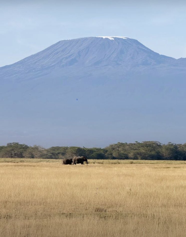 EccentricSafar's tweet photo. 🇰🇪 As we remember, reflect, and rebuild together, we also celebrate the beauty, resilience, and spirit of Kenya. 

At Eccentric Adventures, we believe every journey tells a story . 
📍 Safaris | Getaways | Group Tours | Corporate Retreats 
+254768698945/+254794209480 https://t.co/GOosqBEKaS