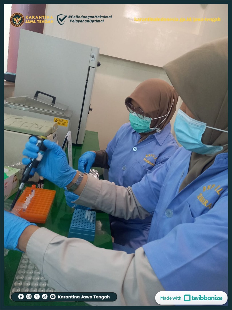 karantinajateng's tweet photo. Tombak Utama Pertahanan Nirmiliter, Karantina Jawa Tengah Optimalkan Laboratorium

https://t.co/CoqU7ftVD1 https://t.co/GwRcOZtcfh