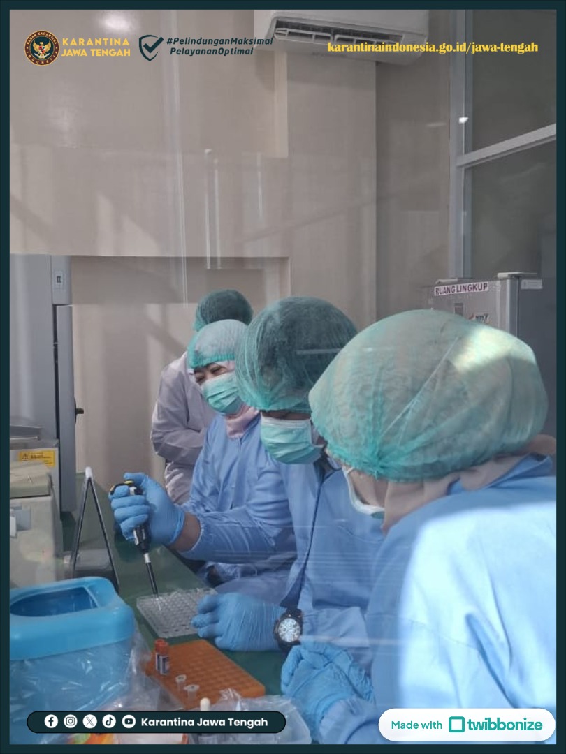 karantinajateng's tweet photo. Tombak Utama Pertahanan Nirmiliter, Karantina Jawa Tengah Optimalkan Laboratorium

https://t.co/CoqU7ftVD1 https://t.co/GwRcOZtcfh
