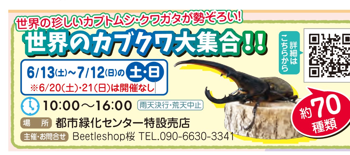 yspxjr's tweet photo. 今週のイベント情報。
響灘緑地グリーンパーク。
多数の昆虫展示
ふれ合いコーナー
昆虫釣り
即売
そしてBeetleshop桜おなじみの昆虫クジ‼️
たくさんのご来場お待ちしております（ ﾟ∀ﾟ ） https://t.co/rVkp3eGjMt
