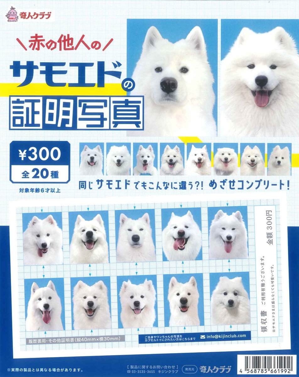 mちゃん　703945 ホワイトカラー　オプションお写真2枚目掲載 🌱新入荷商品🌱 ◎ サモエドの証明写真 #シープラ #mozoワンダーシティ