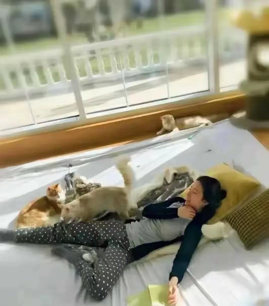 _byul_soran's tweet photo. Spent a cozy afternoon with my fluffy pup—chasing bubbles and napping together = best way to beat the midweek slump https://t.co/aVDI4I9Ju7