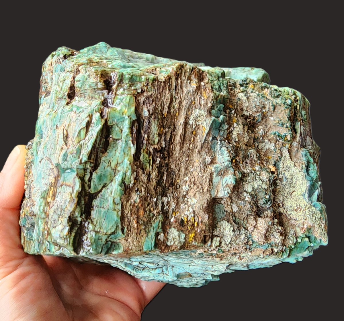 SrlGemstone's tweet photo. Opalized Petrified wood #collectible #collection #paleontology #geology #rarerock #greengem #lapidary #fossil https://t.co/q3ermrSYab