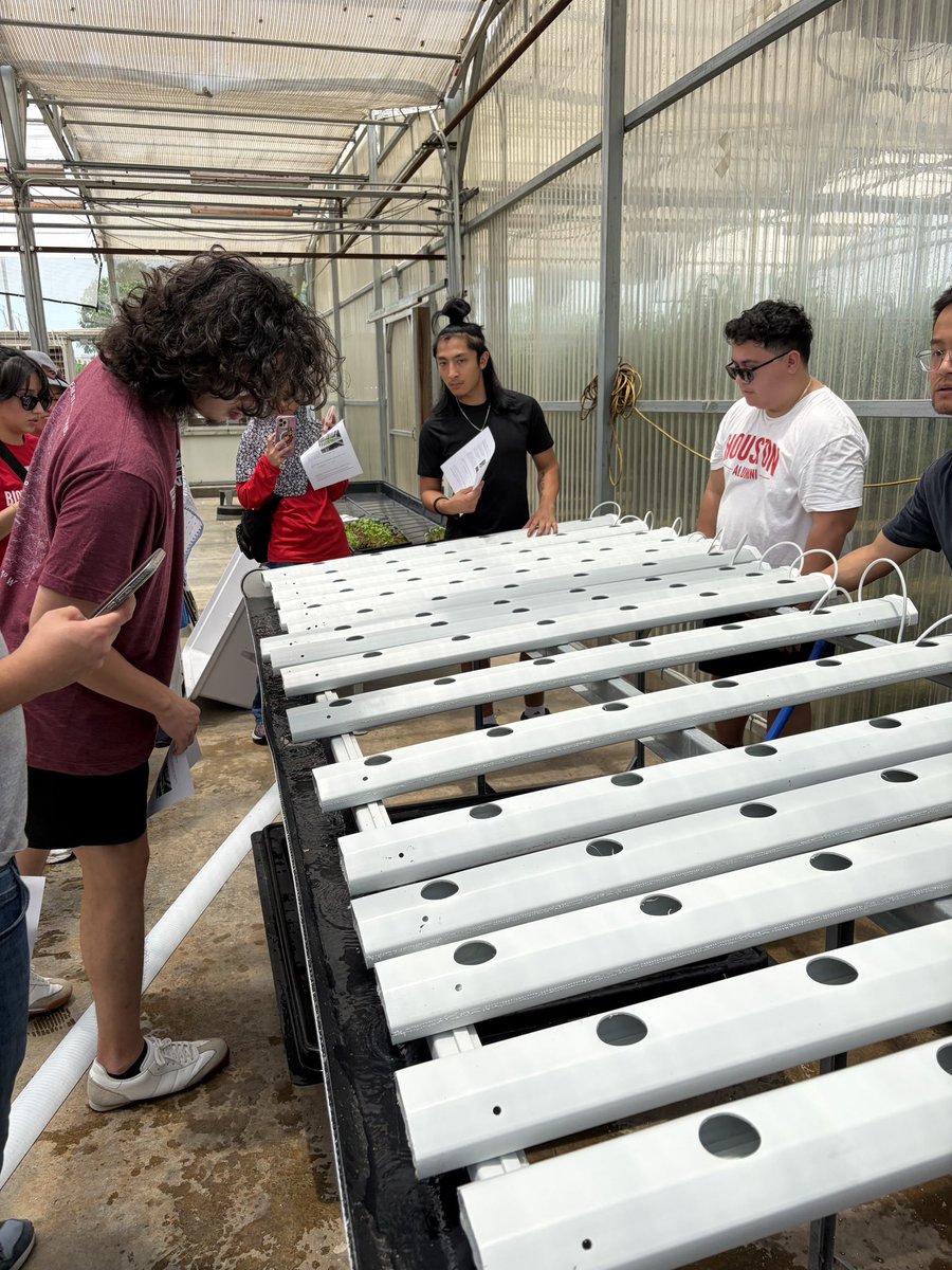 microbiome_lab's tweet photo. Day 2 hands-on training included setting up a Nutrient Film Technique (NFT) hydroponic system.

Participants learned about system setup, nutrient flow, water circulation, and plant support.

#KhanLab #NFTSystem #Hydroponics #CEA #USDANIFA https://t.co/g3mXgXa3PM