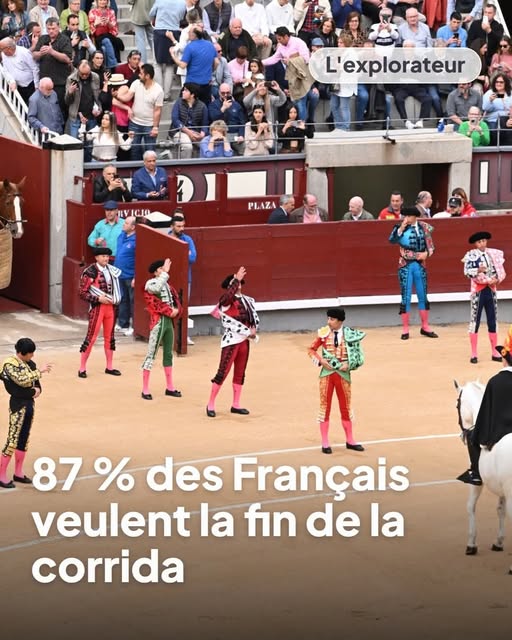 MelaniaFrance's tweet photo. 87% des Français veulent la fin de la corrida ! ET VOUS ? https://t.co/yEN2cepQdK