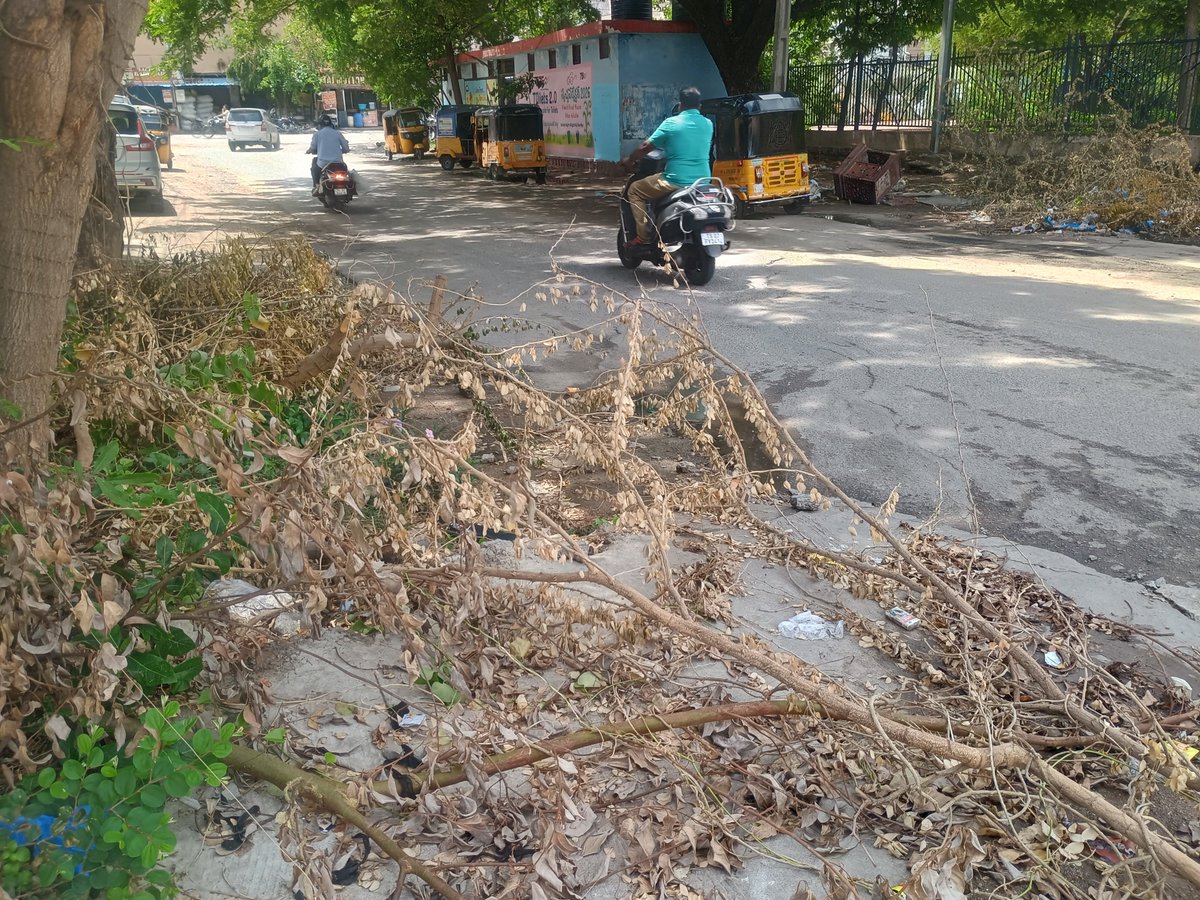 ksmcube's tweet photo. @GHMCOnline @ZC_LBNagar Request to clear the waste of cut tree branches done by the respective departments during branch pruning activity in Vanasthalipuram Govt Hospital Road https://t.co/t77jOb6yBD