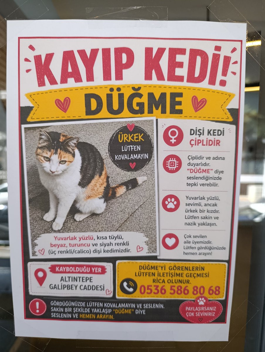 coloristcat's tweet photo. Altıntepe/Maltepe/İstanbul https://t.co/DlrMlg705D