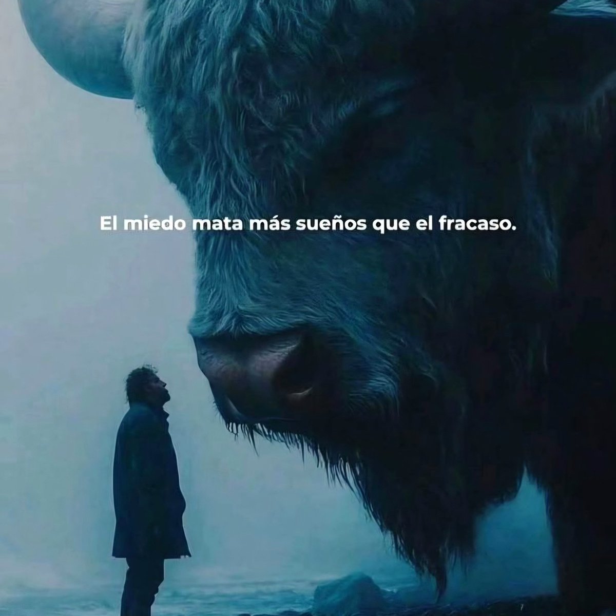 Espacio_Frases's tweet photo. https://t.co/9IFbQ2yCfI