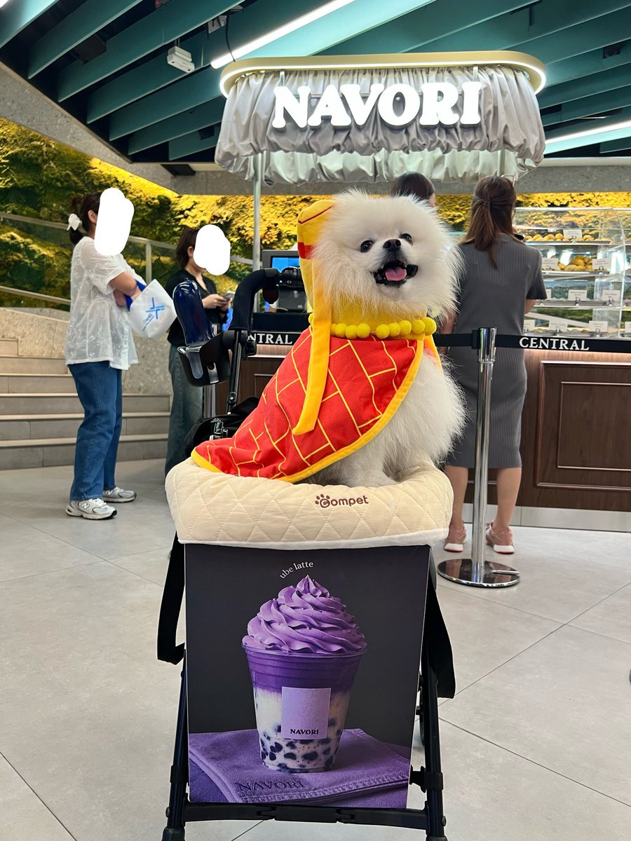 i_amKwan's tweet photo. วันนี้พ่อค้าฮารึน้อยมาขาย ube latte ค้าบบบบ

#haruto_moro
#navori #navoribkk https://t.co/Jo488UbzI3