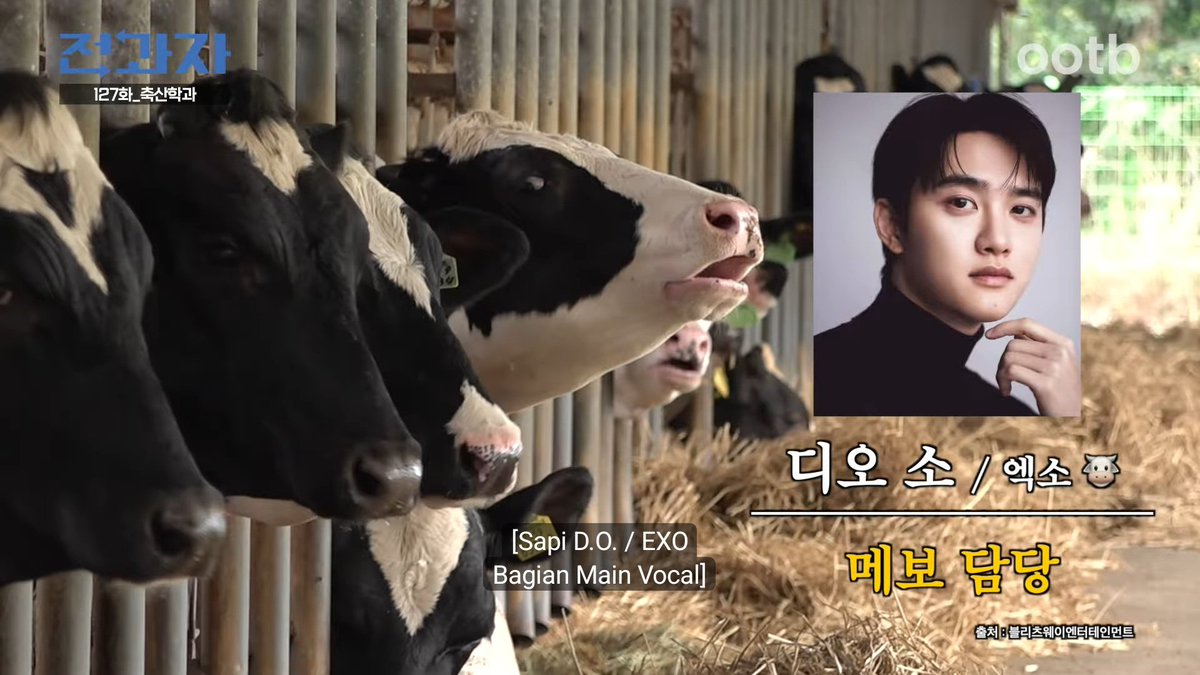 cupiteri's tweet photo. sapi bukan sembarang sapi, ini member exo loh😌 https://t.co/3dYK3cHyi4