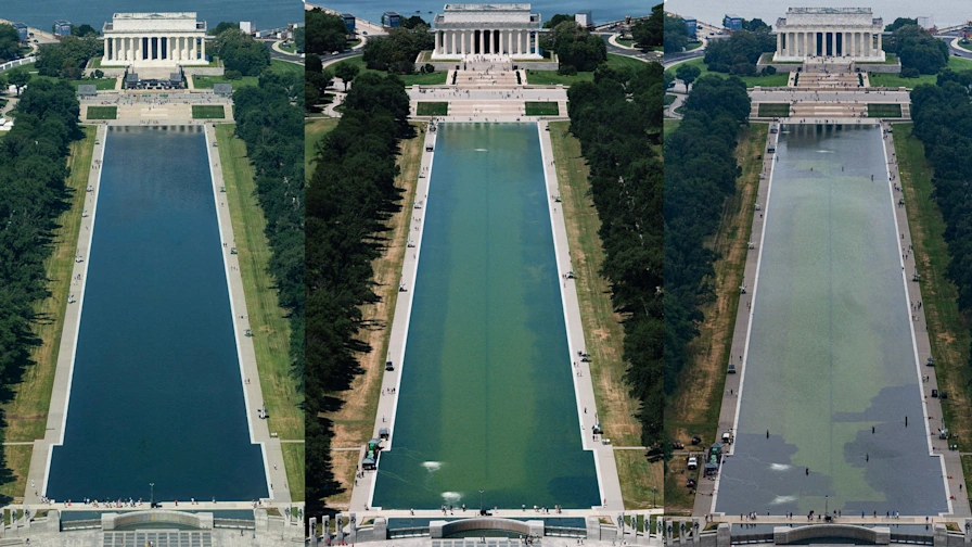 SaltyGoat17's tweet photo. The Reflecting Pool is an exact mirror of Washington DC for the past decade...

Trump is trying to clean it up and the swamp is doing everything they can to keep it dirty or destroy it!! https://t.co/Jvl6zYiJ9n