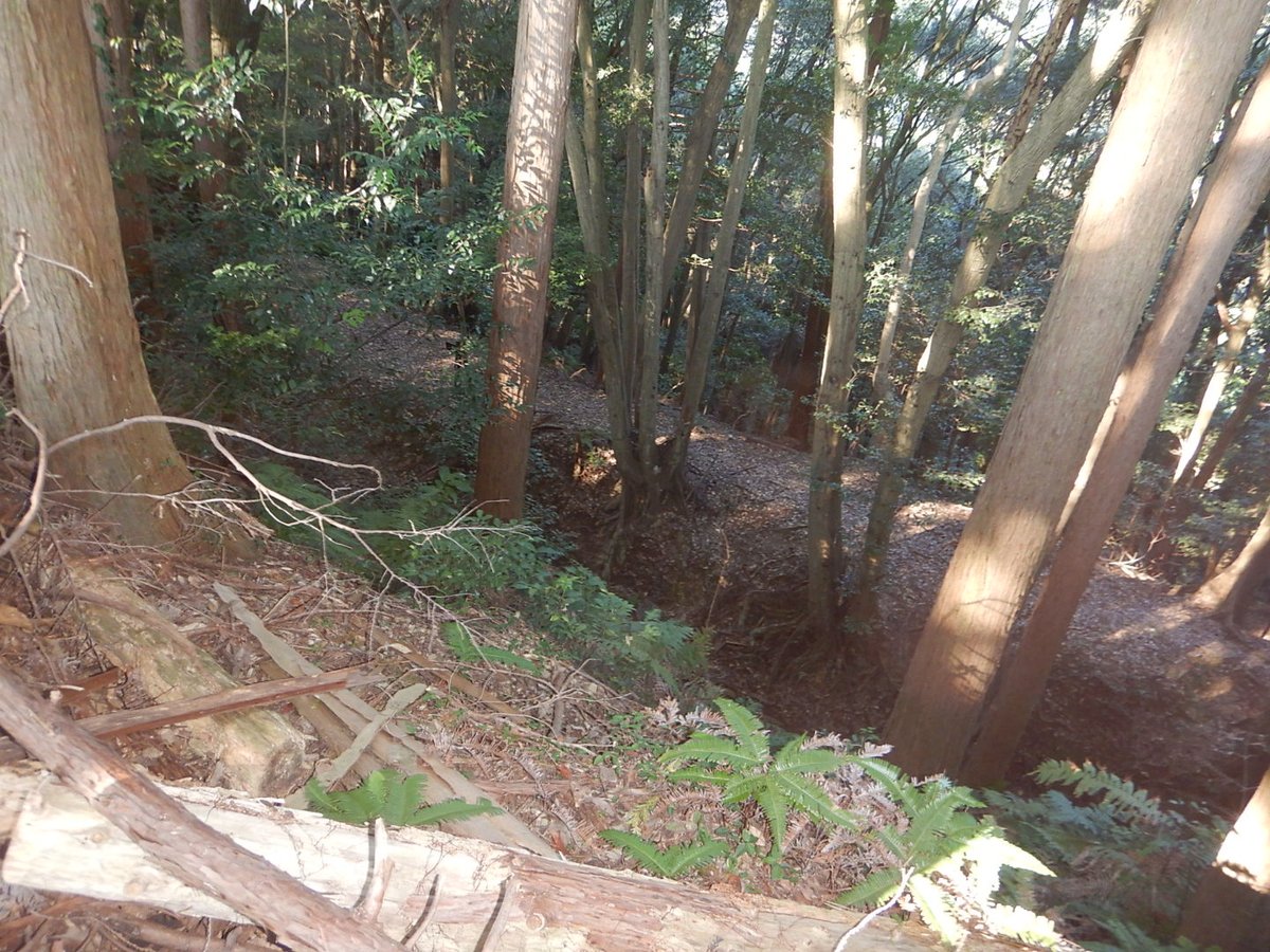 higasio1275's tweet photo. #思わず見入ってしまう空堀をあげてください
月山富田城　ー①
駿河丸子城　ー②
越前波多野城ー③　
勝間田城　　ー④ https://t.co/bSpHVLOSJe