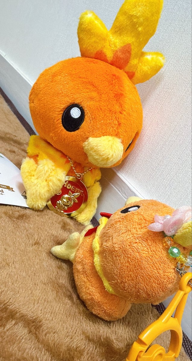 ぬい活