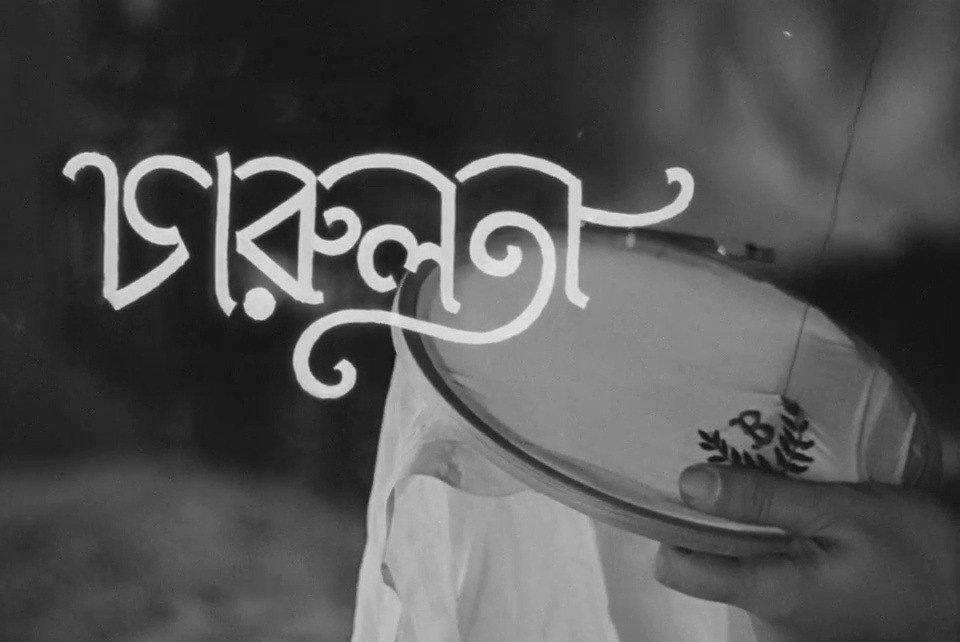 yangcuddygf's tweet photo. CHARULATA! https://t.co/W78RIBByN1