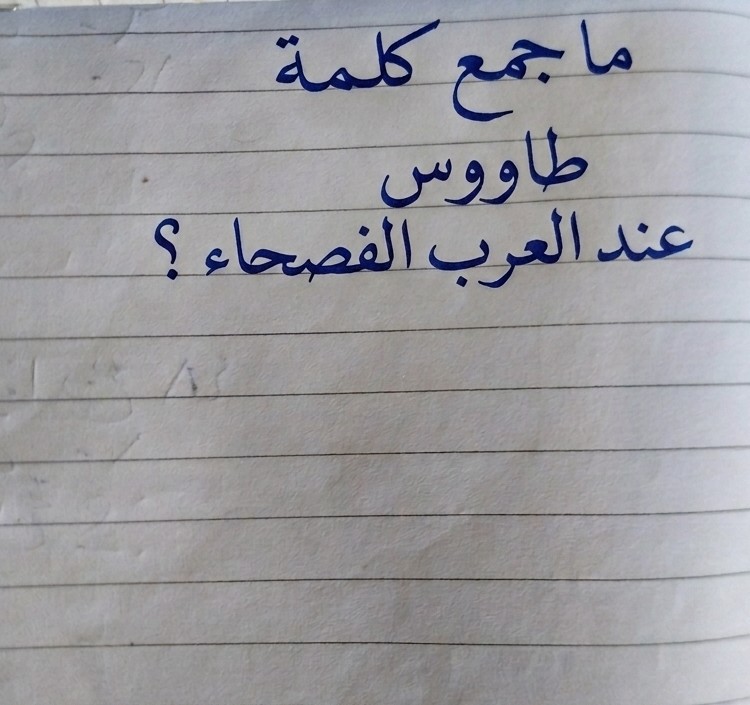 bdalrhmn13451's tweet photo. كلمة عربية بسيطة… لكن 90% يخطئون في جمعها! ما جمع (طاووس) https://t.co/J0FroP4LLn