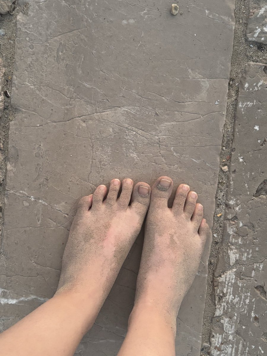 LittleVamp4them's tweet photo. Mes pieds sont plein de sables après ma sortie plage 🐚 Qui veut les nettoyer ? 💋 #feet #feetfetısh #feetcontent #goddess https://t.co/v2LATmCoxY