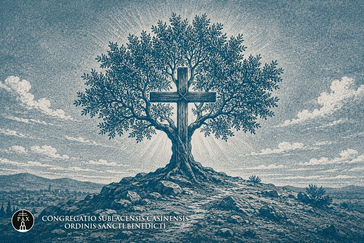 CongreSubCasOSB's tweet photo. #28giugno2026
XIII Domenica del Tempo Ordinario
.
Seguire Cristo chiede un amore radicale, oltre ogni legame. Dalla croce nasce la vita nuova: l’amore vince la morte e genera testimoni.
.
https://t.co/J1zh1E3cXI
.
#LectioCSC_ITA
.
@GebetsligaR https://t.co/O3ypWVE2Tr