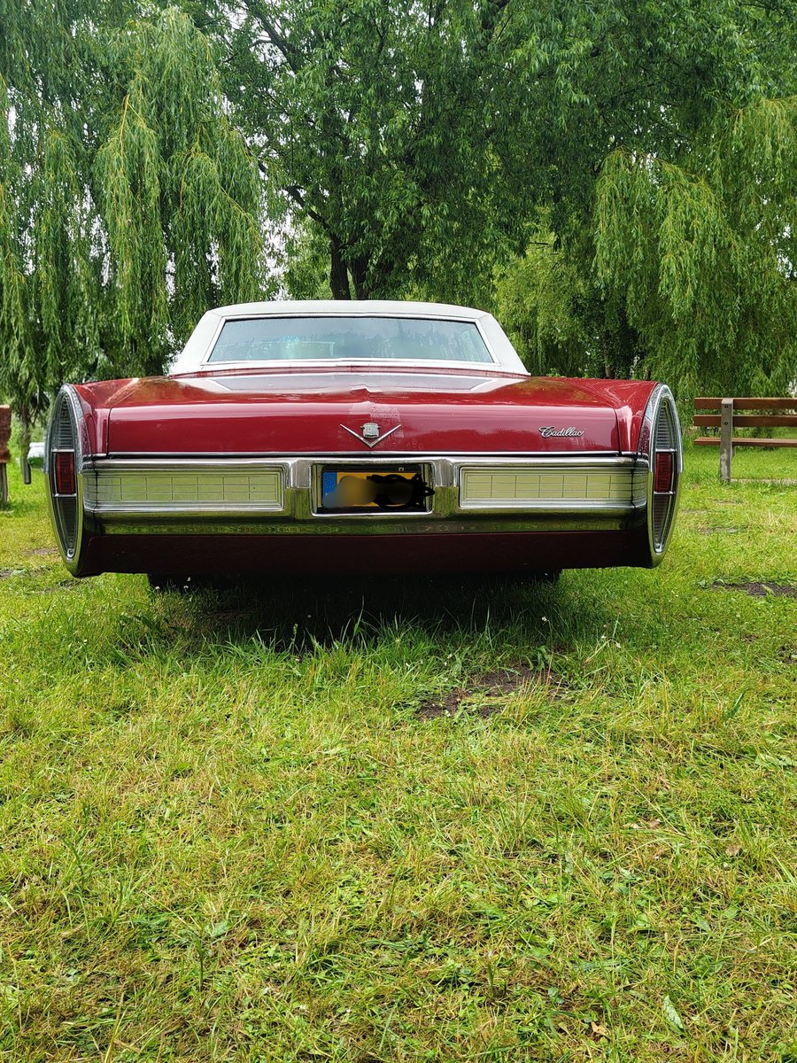 blaskstrzala's tweet photo. For sale: 1968 Cadillac Sedan de Ville. V8 7.7L engine (472 cu in), 375 HP. Mint condition! Flawless paint &amp; chrome. Registered as historic.
📍 Gdynia, Poland 🇵🇱
💰 Price: 100,000 PLN / €23,000
DM for more details! 📩
#Cadillac #DeVille #ClassicCars #CarForSale #V8 #Poland https://t.co/AouBwxlO3D