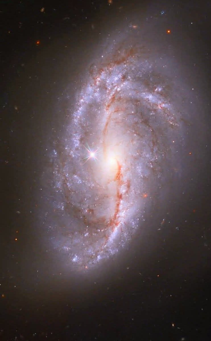 Physicsastronmy's tweet photo. A Window into Eternity 

The #Hubble Space Telescope carries our gaze 93 million light-years away, where the NGC 2608 galaxy unfolds like a celestial jewel embroidered with cosmic dust and gas. Looking at this image, we discover a story written in three layers of time and space:

 Close to us: - The intense, magically radiant point is a star from our very own Milky Way. It stands timidly in the foreground,  like a sentinel guarding our cosmic home.
 - In the center: The majestic spiral of the NGC 2608 galaxy, a giant vortex of warm light where new suns are born.
 - In the distance: Every small, faint, and mysterious dot in the background is not a star, but another distant galaxy an entire world lost in the cosmic ocean.