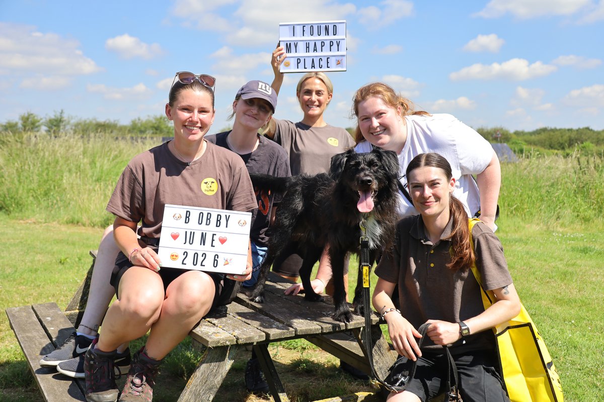 DT_Leeds's tweet photo. We're bursting full of joy as we wave Underdog Bobby off to his new home! 🏡🐶🎉

He's spent most of his life in our care. 403 days to be exact, but he will now start his settling in period. 🥰

#GoodNews #RescueDog #Leeds #FeelGood #Success @DogsTrust https://t.co/yycEaauYQ6