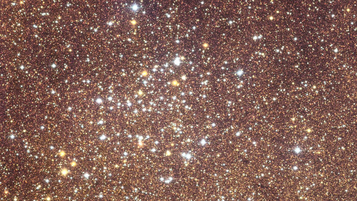 windatthelig's tweet photo. "60 million stars in one frame." 🌌

It's like sparkling, glittering gold! ✨ Does anyone else love the color yellow as much as I do? 🖐🏻
Cre: ESA
(Via: Facebook)

#ESA #Stars #Space #Universe #Golden https://t.co/W2c67avYiT