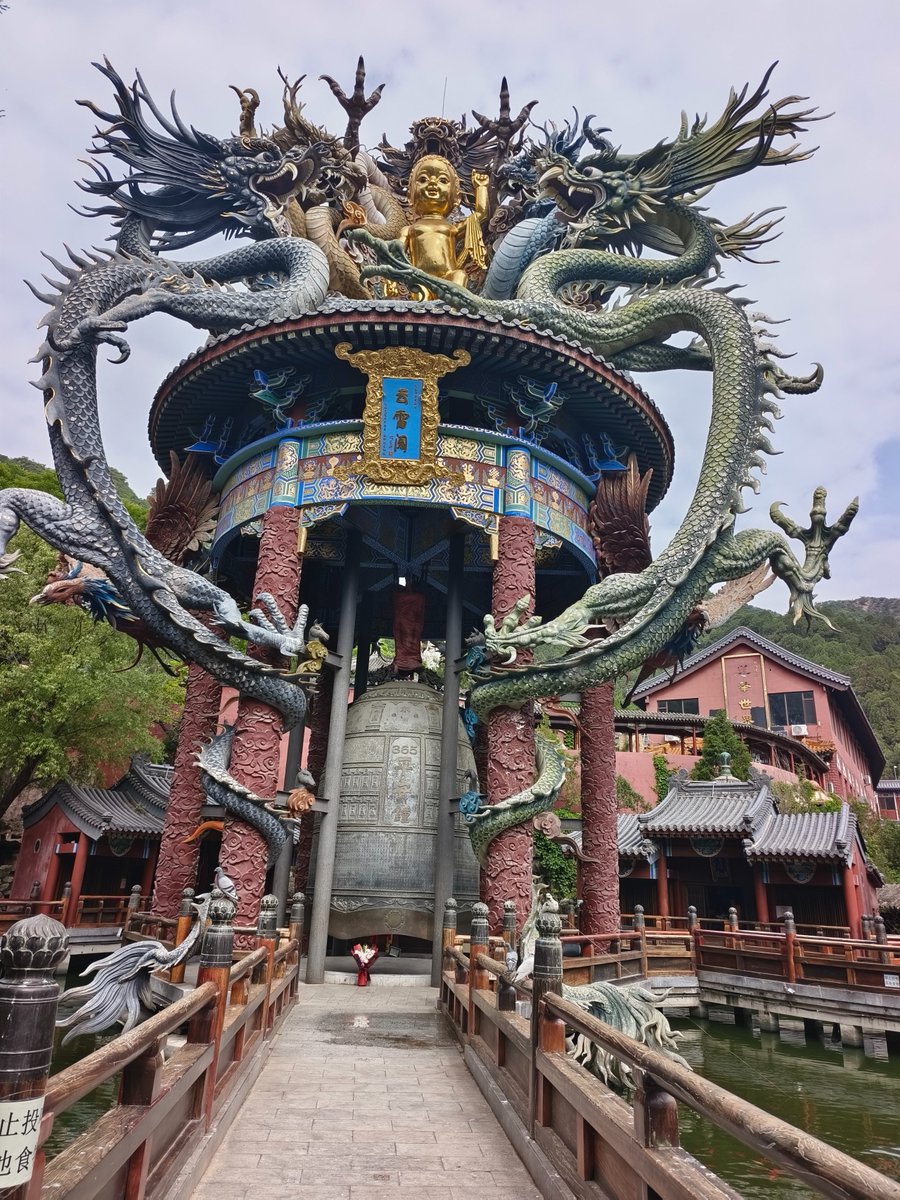 wenxin202's tweet photo. 盘龙环古阁，山水伴禅钟，世间浮躁，都被这满亭龙气抚平。
Dragons wind around the ancient pavilion, mountains and waters echo with temple bells. All worldly restlessness fades away here. https://t.co/EhUTtZPASE