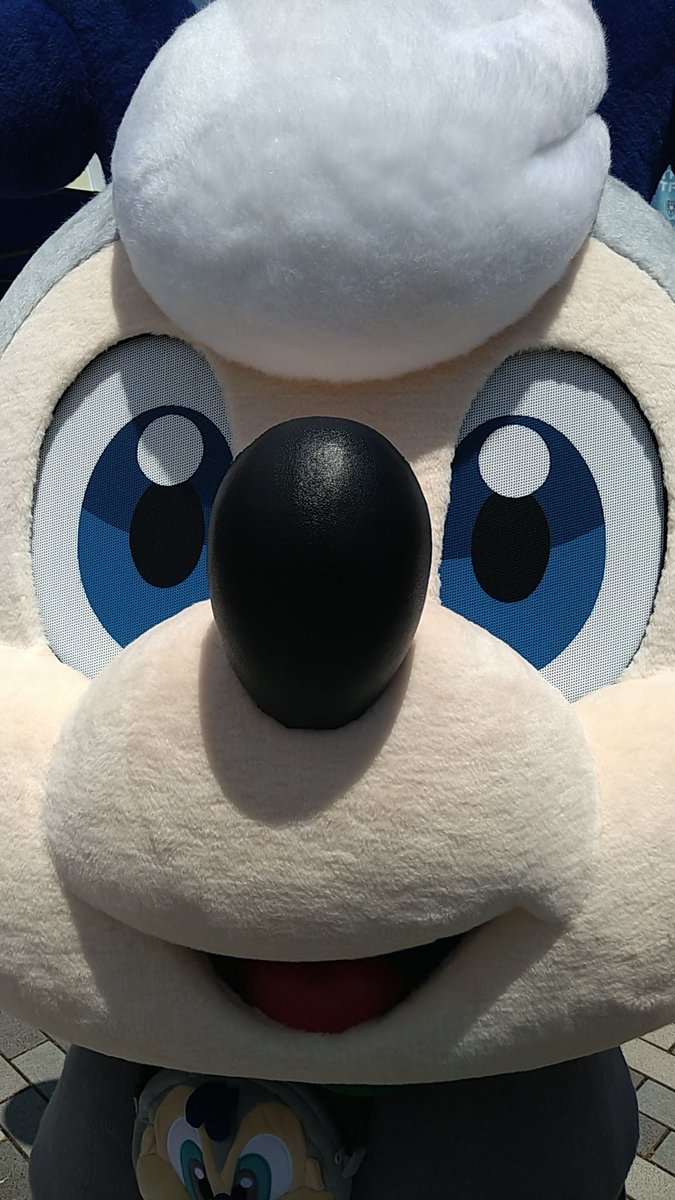 pilorinn's tweet photo. すびーくん🐝 https://t.co/JNEk0wka08