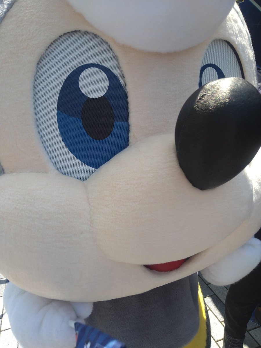 pilorinn's tweet photo. すびーくん🐝 https://t.co/JNEk0wka08