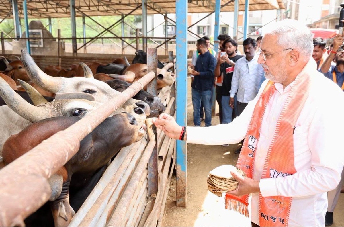 iJagdishBJP's tweet photo. यया सर्वमिदं व्याप्तं जगत् स्थावरजङ्गमम्।
तां धेनुं शिरसा वन्दे भूतभव्यस्य मातरम्॥

વડોદરા પ્રવાસની મંગલમય શરૂઆત... શક્તિ, કરુણા અને ભક્તિનું પ્રતીક એવી ગૌમાતાના પૂજન અને સેવા સાથે.

આજે વડોદરાના સયાજીપુરા પાંજરાપોળ ખાતે કાર્યકર્તાઓ સાથે ગૌસેવા કરવાનો અને ગૌમાતાને ફળ અર્પણ કરવાનો લહાવો મળ્યો. ગૌમાતાના આશીર્વાદ સદાય આપણી પર બનેલા રહે એ જ પ્રાર્થના.