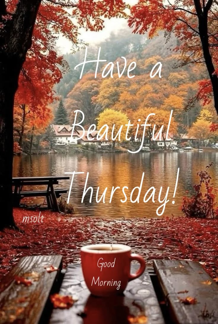BDebaillif's tweet photo. Good morning fandom. Wishing everyone a pleasant, fresh and happy Thursday. 🌞☕️🌺🍀
#anYaman https://t.co/iqmaOPDkDx