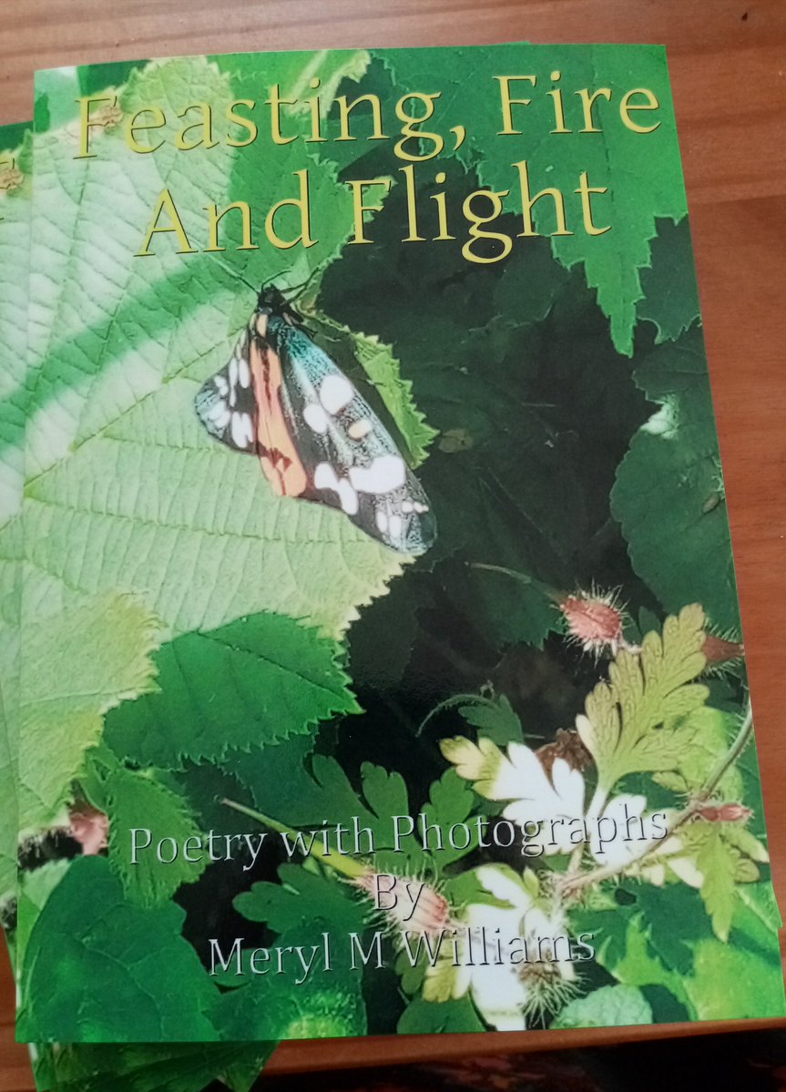 MerylW10's tweet photo. Feasting, Fire and Flight is finished and new for June 2026. Poetry with stunning full color images and a Quartet of Sonnets. Available as paperback and ebook from bookshops worldwide and near you plus https://t.co/4Nd244NPa4. More details on my blog https://t.co/0RD4nmMu3s. https://t.co/cAfnmrx7yP