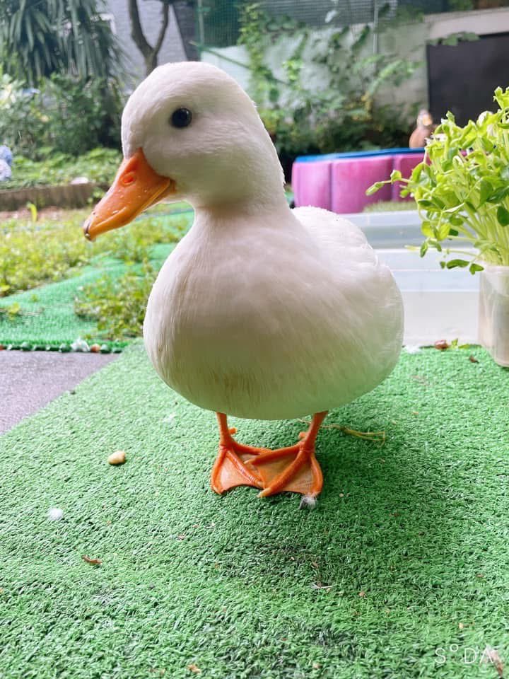 ahiraa2go's tweet photo. 雨だね https://t.co/TFeFCFXJfo