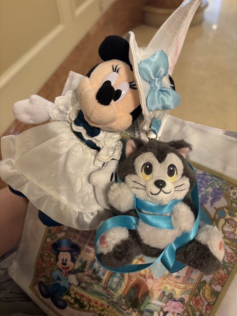 TdBraaa's tweet photo. パジャマミニーには今回珍しく靡かず、フィガロちゃんお迎えした🐈
何気に初フィガロなんだけどミニーのぬい持ち歩いて鞄にフィガロちゃん着けたら絶対可愛い🫶🏻 https://t.co/xnhgDNgHHi