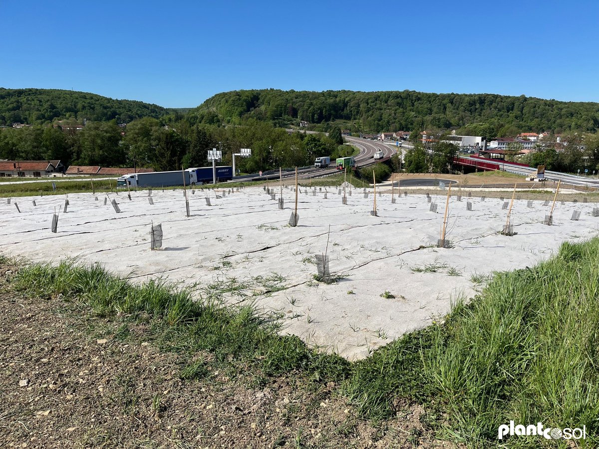 PlantcoFrance's tweet photo. Végétalisation d'un talus autoroutier à Ligny-en-Barrois (55) avec notre feutre de paillage 100 % jute Plantcobio Ecojute.

Biodégradable, biosourcé, sans résidu. Merci à l'agence ACL pour la distribution.

#Plantcobio #Ecojute #Paysagiste https://t.co/ONRek2dcr6