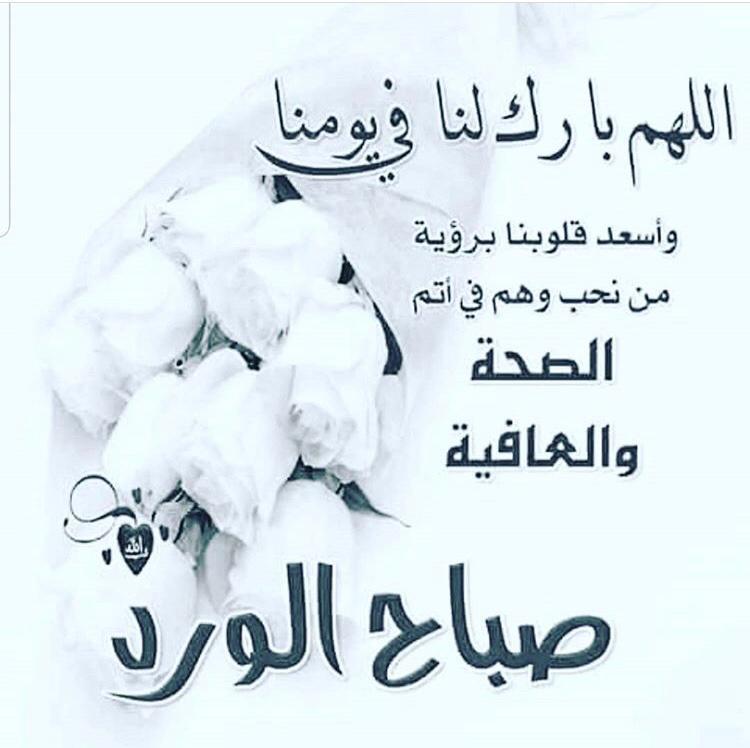 Quitesamy's tweet photo. @mervatkatara143 صباح الخير والسعادة https://t.co/SfIBJaxuGV